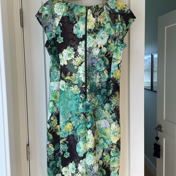 Sexy slinky… scuba? - Picture 4 of 5